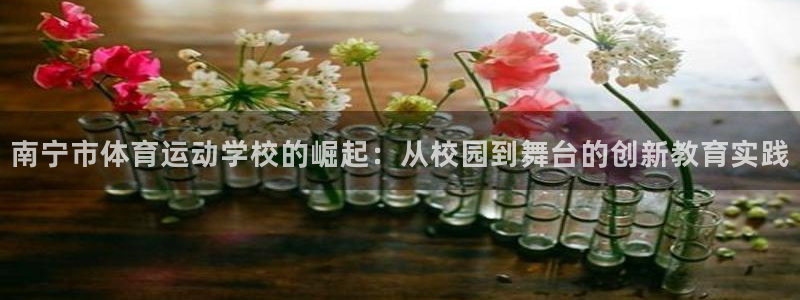 球迷体育手机版下载地址：南宁市体育运动学校的崛起：从校园到舞台的创新教育实践
