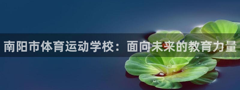 球迷体育怎么买票：南阳市体育运动学校：面向未来的教育力量