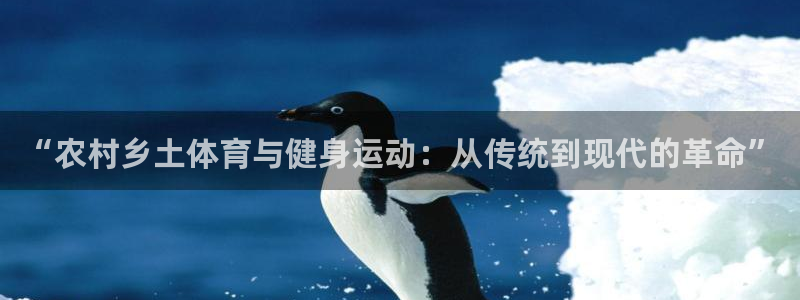 球迷体育能看NBA吗：“农村乡土体育与健身运动：从传统到现代的革命”