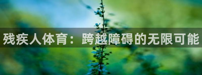球迷体育的收费方式：残疾人体育：跨越障碍的无限可能