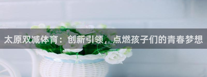 球迷体育app下载安卓：太原双减体育：创新引领，点燃孩子们的青春梦想