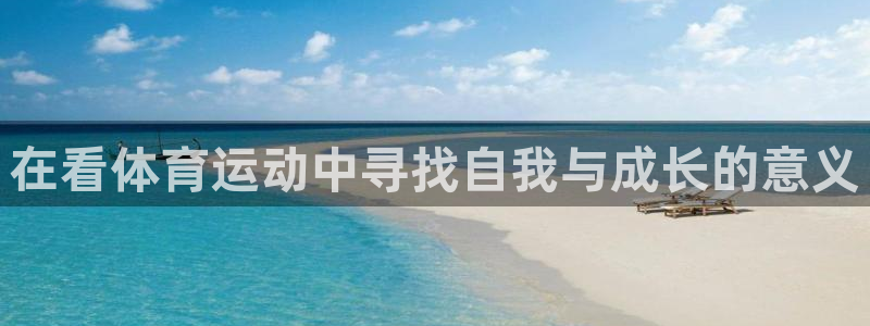 球迷体育怎么看回放：在看体育运动中寻找自我与成长的意义