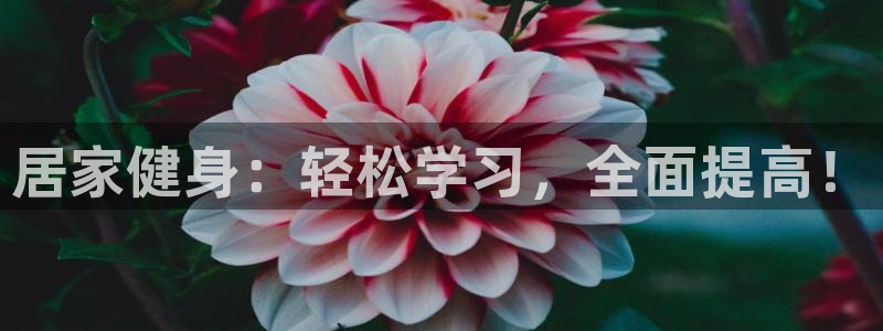 球迷体育官网下载：居家健身：轻松学习，全面提高！