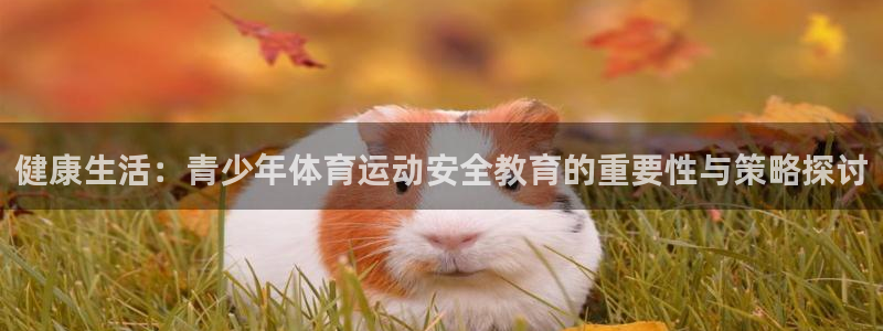 球迷体育下载：健康生活：青少年体育运动安全教育的重要性与策略探讨